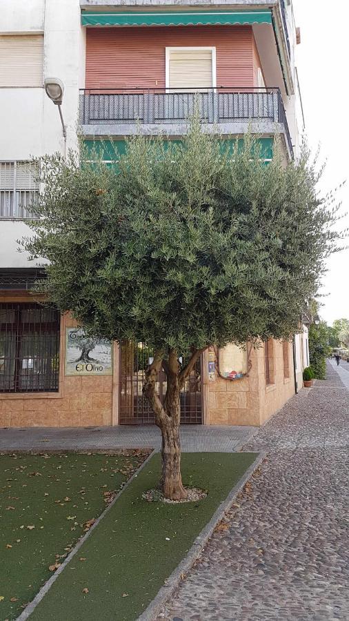 Fantastico Apartamento Junto A La Juderia กอร์โดบา ภายนอก รูปภาพ